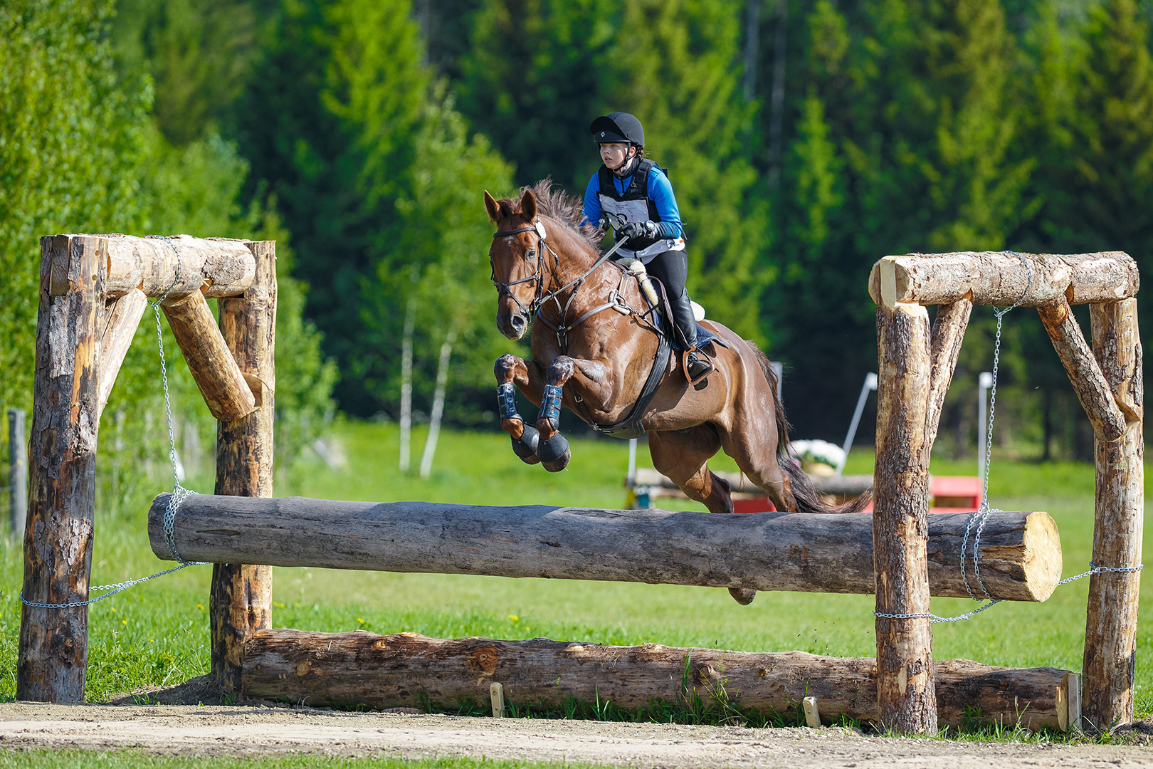 Sarah-Marii-Aarelo-Al-Pacino-2_web