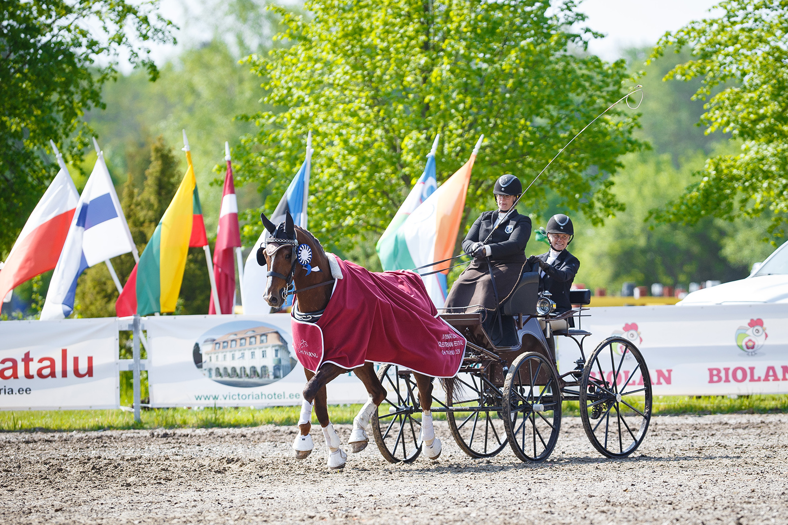 Talvikki-Jarvinen-Kassander_-web