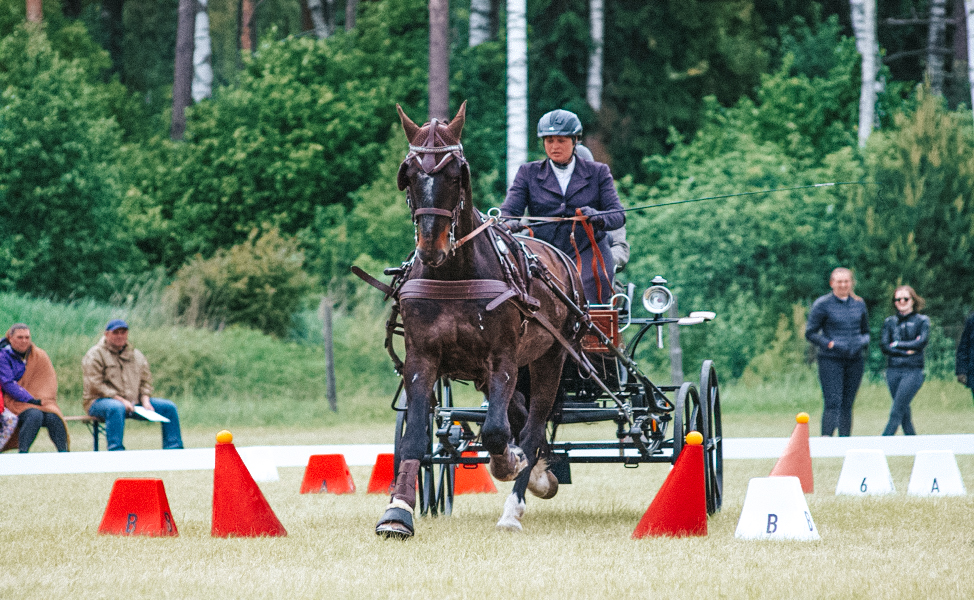 CHI Pärnu 2021 – the first international Equestrian festival in region
